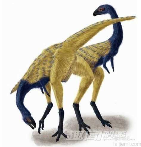 前所未闻！地球上25个奇异的史前生物553 / 作者:UFO来啦 / 帖子ID:62396
