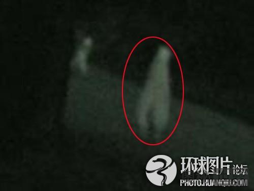 盘点震惊全球的真假外星人事件73 / 作者:UFO来啦 / 帖子ID:65200