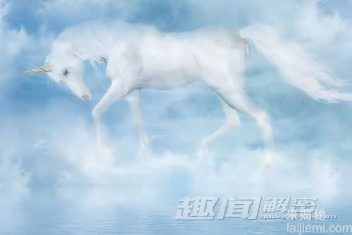 探寻传说中独角兽真实存在之谜7 / 作者:UFO来啦 / 帖子ID:63896