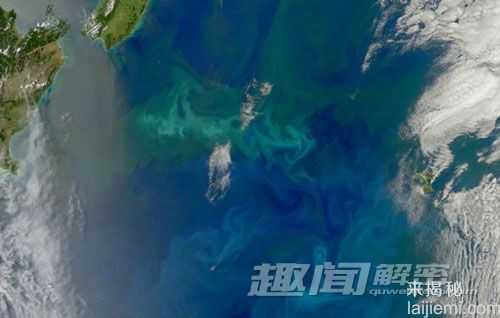 盘点世界上十大最壮观的藻花：美轮美奂592 / 作者:UFO来啦 / 帖子ID:65035