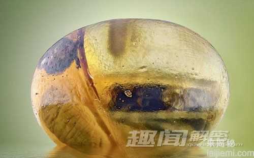 叹为观止的微距摄影：昆虫眼睛如外星来客604 / 作者:UFO外星人爱好者 / 帖子ID:57780