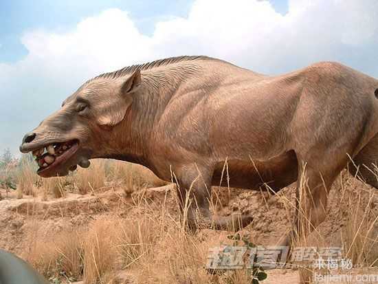 盘点全球八大消失的恐怖远古怪物(图)817 / 作者:UFO来啦 / 帖子ID:65093