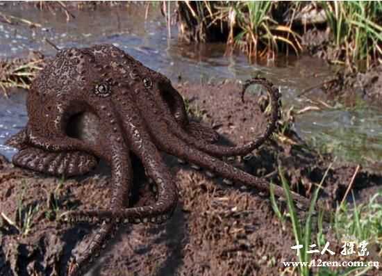 沼泽章鱼：人类预测1亿年后的新物种(一口咬死大象)596 / 作者:UFO来啦 / 帖子ID:64629