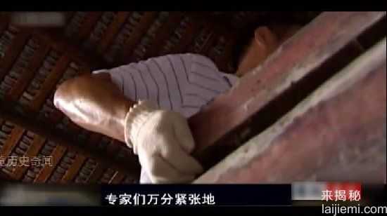 千年女尸突然复活，考古学家魂飞魄散522 / 作者:UFO来啦 / 帖子ID:62554