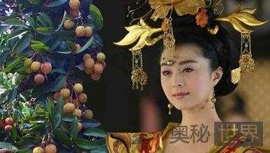 杨贵妃与荔枝的故事113 / 作者:UFO来啦 / 帖子ID:64399 杨贵妃与荔枝的故事113 / 作者:UFO来啦 / 帖子ID:64399