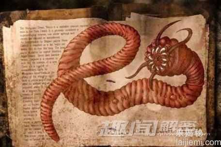 全球十大神秘怪兽：黑色猴子VS死亡之虫583 / 作者:UFO来啦 / 帖子ID:62164