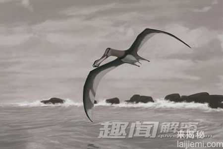 传说中的十大神秘生物：雷鸟身长28米539 / 作者:UFO来啦 / 帖子ID:62048