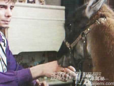 曝：世界九大最不同寻常的宠物977 / 作者:UFO来啦 / 帖子ID:64178