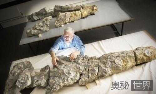 考古发现8500万岁南极蛇颈龙化石315 / 作者:UFO爱好者 / 帖子ID:66809 考古发现8500万岁南极蛇颈龙化石315 / 作者:UFO爱好者 / 帖子ID:66809