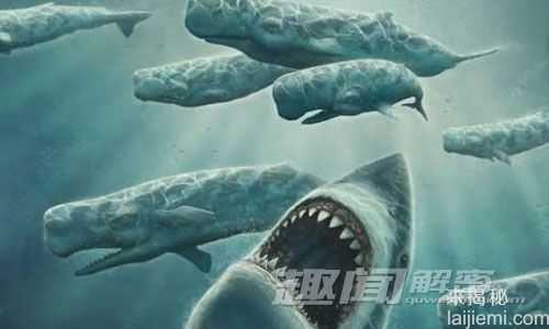 比恐龙更可怕 现代动物的史前鼻祖4 / 作者:UFO来啦 / 帖子ID:64547