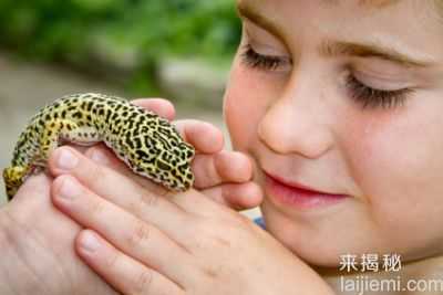 六大最恐怖的宠物 你敢养么？599 / 作者:UFO来啦 / 帖子ID:62275