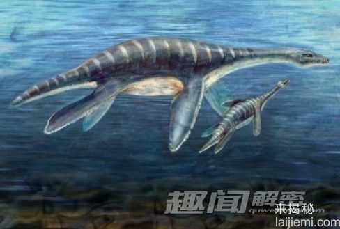 前所未闻！地球上25个奇异的史前生物353 / 作者:UFO来啦 / 帖子ID:62396