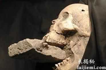 人类祖先竟是外星来客？一手策划恐龙灭绝964 / 作者:UFO来啦 / 帖子ID:60949