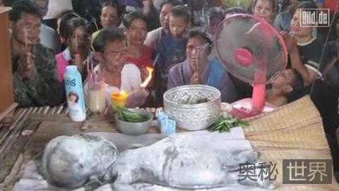 泰国村民祭拜外星人尸体729 / 作者:UFO外星人爱好者 / 帖子ID:57931