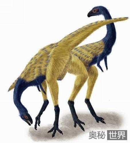 25种最迷人的远古生物648 / 作者:UFO来啦 / 帖子ID:61211