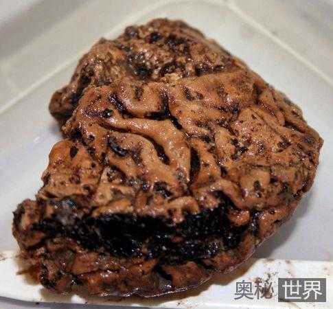 英格兰发现2500年前保存完好的大脑701 / 作者:UFO外星人爱好者 / 帖子ID:60127