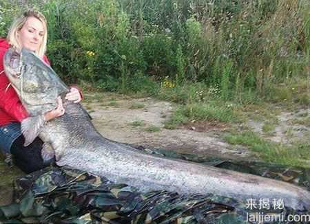 盘点：修炼成精被捕获的十大巨型怪物636 / 作者:UFO来啦 / 帖子ID:65215