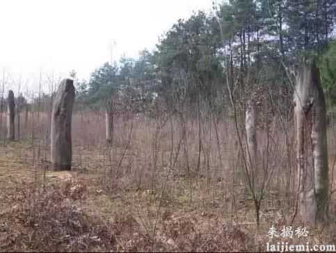 云贵之地未解之谜盘点 原来那里出过这样的事86 / 作者:UFO来啦 / 帖子ID:61956