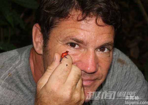 揭秘最毒动物：箭毒蛙可杀死10个成年男子846 / 作者:UFO来啦 / 帖子ID:63990