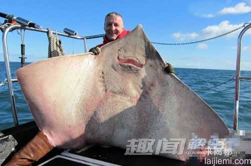 盘点全球人类捕获的巨型大鱼290 / 作者:UFO来啦 / 帖子ID:65094