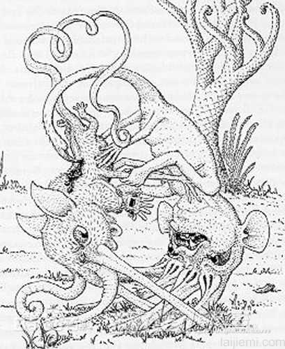 20世纪消失的奇兽：鼻行动物802 / 作者:UFO来啦 / 帖子ID:61274