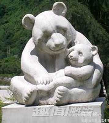 以卖萌为生的熊猫 是怎样成为国宝的616 / 作者:UFO来啦 / 帖子ID:62092
