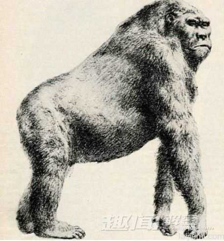 前所未闻！地球上25个奇异的史前生物_1389 / 作者:UFO来啦 / 帖子ID:62414