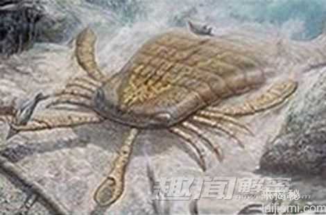 千年难遇：盘点世界上已经灭绝的怪物482 / 作者:UFO来啦 / 帖子ID:62537