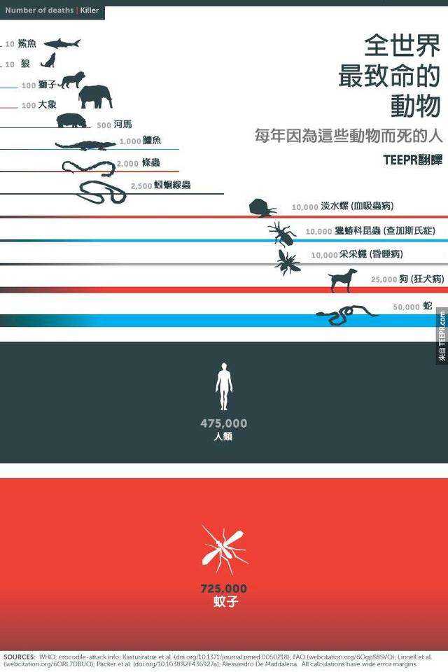 世界上最危险的动物是什么？不是人类966 / 作者:UFO外星人爱好者 / 帖子ID:58291