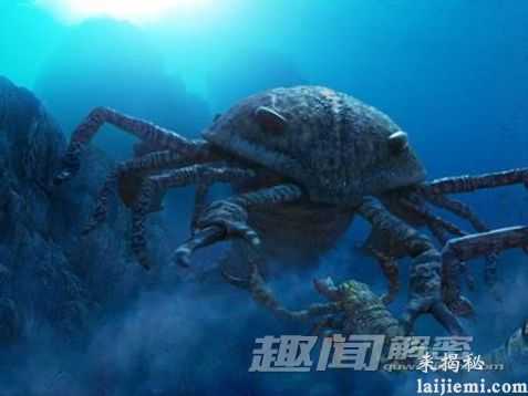 揭秘：远古时期地球上的八大巨型怪物478 / 作者:UFO爱好者 / 帖子ID:66604
