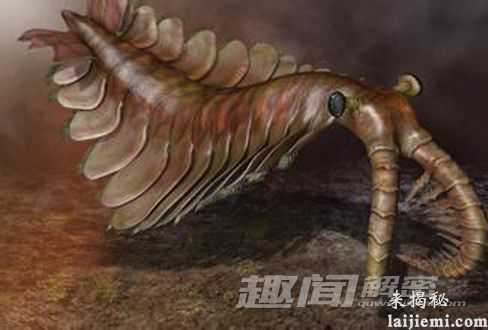 盘点：曾生活在地球上的八大“神兽”122 / 作者:UFO来啦 / 帖子ID:65233