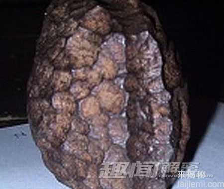至今未解的谜团！盘点世界十大未解之谜737 / 作者:UFO来啦 / 帖子ID:65609