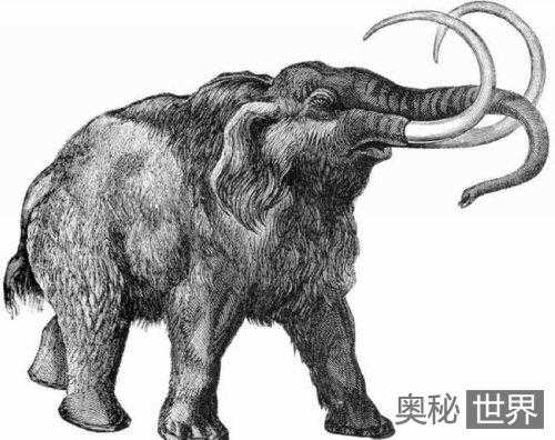 25种最迷人的远古生物951 / 作者:UFO来啦 / 帖子ID:61211