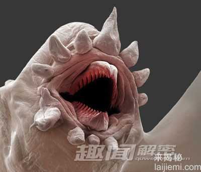 各国船舰遇到的&amp;quot;海洋巨蟒&amp;quot;之迷679 / 作者:UFO来啦 / 帖子ID:62734