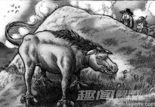 揭秘北美洲传说中的恐怖怪物569 / 作者:UFO来啦 / 帖子ID:63958