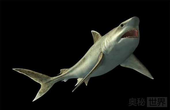12种最恐怖的远古深海怪物921 / 作者:UFO来啦 / 帖子ID:61155