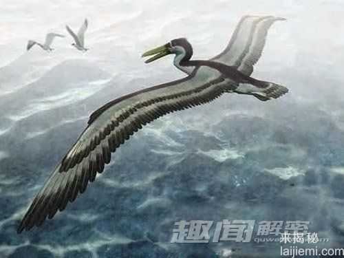 盘点：史上五大神秘的“空中巨霸”226 / 作者:UFO来啦 / 帖子ID:65225
