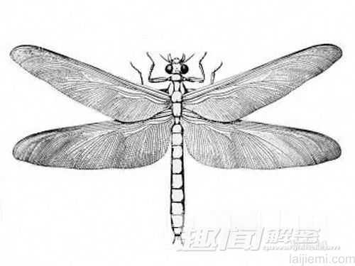 盘点：史上五大神秘的“空中巨霸”110 / 作者:UFO来啦 / 帖子ID:65225