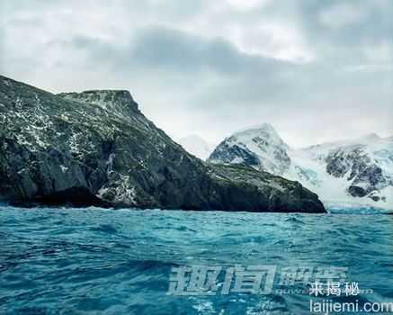 盘点：自然界中天生自带“臭气”的动物965 / 作者:UFO来啦 / 帖子ID:65237