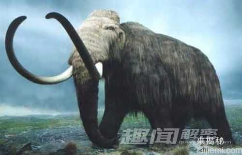 10种已灭绝但仍可能存在的远古动物375 / 作者:UFO来啦 / 帖子ID:61150
