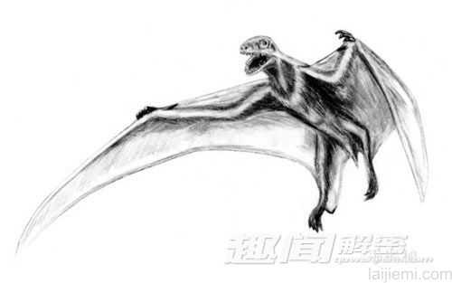 揭秘史前十种最奇特的恐龙(图)999 / 作者:UFO来啦 / 帖子ID:63968