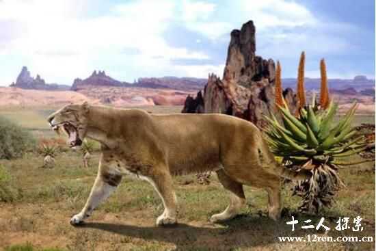 史前猫科动物异剑齿虎，长着獠牙的凶残猎手664 / 作者:UFO来啦 / 帖子ID:62786