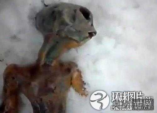 盘点震惊全球的真假外星人事件991 / 作者:UFO来啦 / 帖子ID:65200