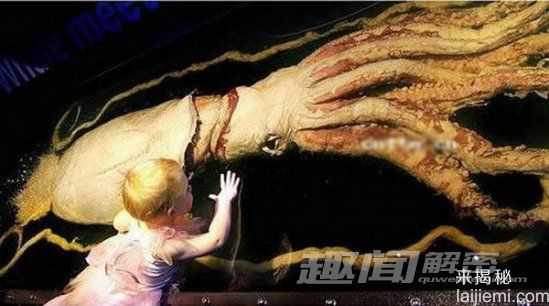 全球十大最恐怖的海洋怪兽913 / 作者:UFO外星人爱好者 / 帖子ID:60649