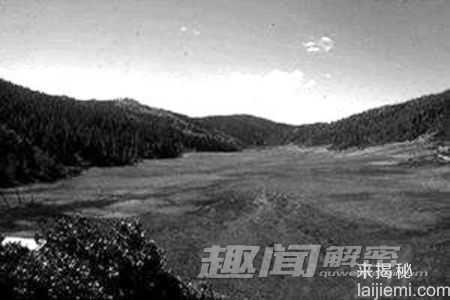 俄罗斯“神秘飞蛇”或致人死亡？644 / 作者:UFO来啦 / 帖子ID:62152
