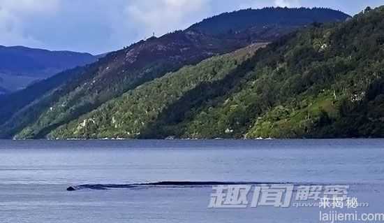 科学探秘 新疆喀纳斯“湖怪” 或为大红鱼247 / 作者:UFO来啦 / 帖子ID:65362