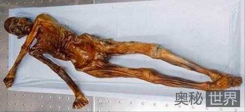 揭秘冰人奥兹的死因977 / 作者:UFO来啦 / 帖子ID:63955 揭秘冰人奥兹的死因977 / 作者:UFO来啦 / 帖子ID:63955