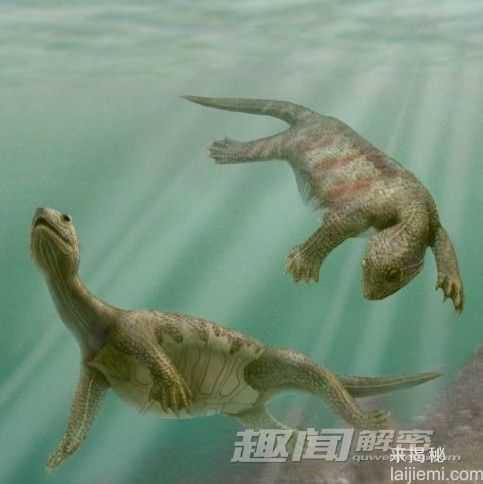 前所未闻！地球上25个奇异的史前生物386 / 作者:UFO来啦 / 帖子ID:62396
