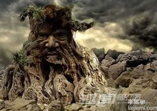 可怕食人树！关乎于它的一些神秘记载历史63 / 作者:UFO来啦 / 帖子ID:62730