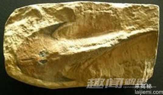 盘点比恐龙更怪异10种史前动物(组图)325 / 作者:UFO来啦 / 帖子ID:65160